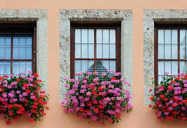Window Sills