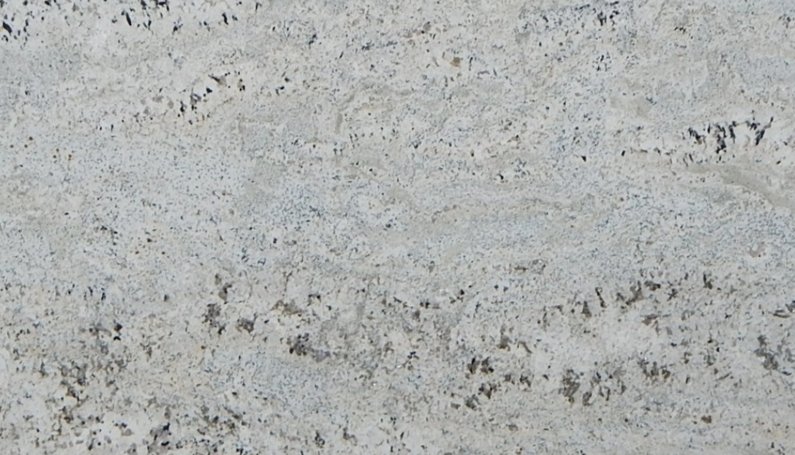 CREAMA PETRA-Close Up