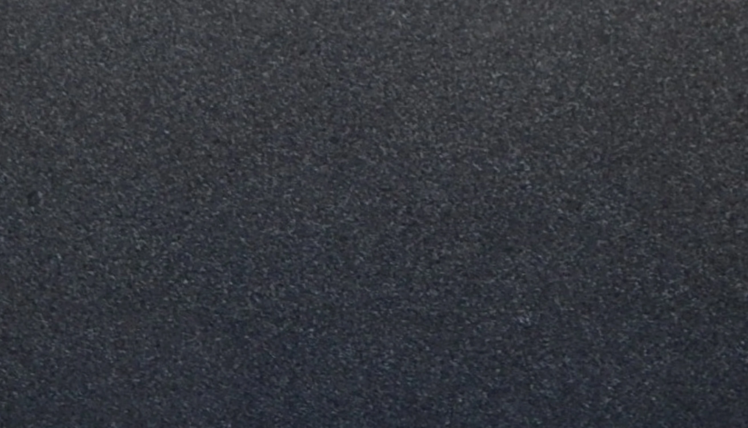 BLACK BEAUTY-Close Up