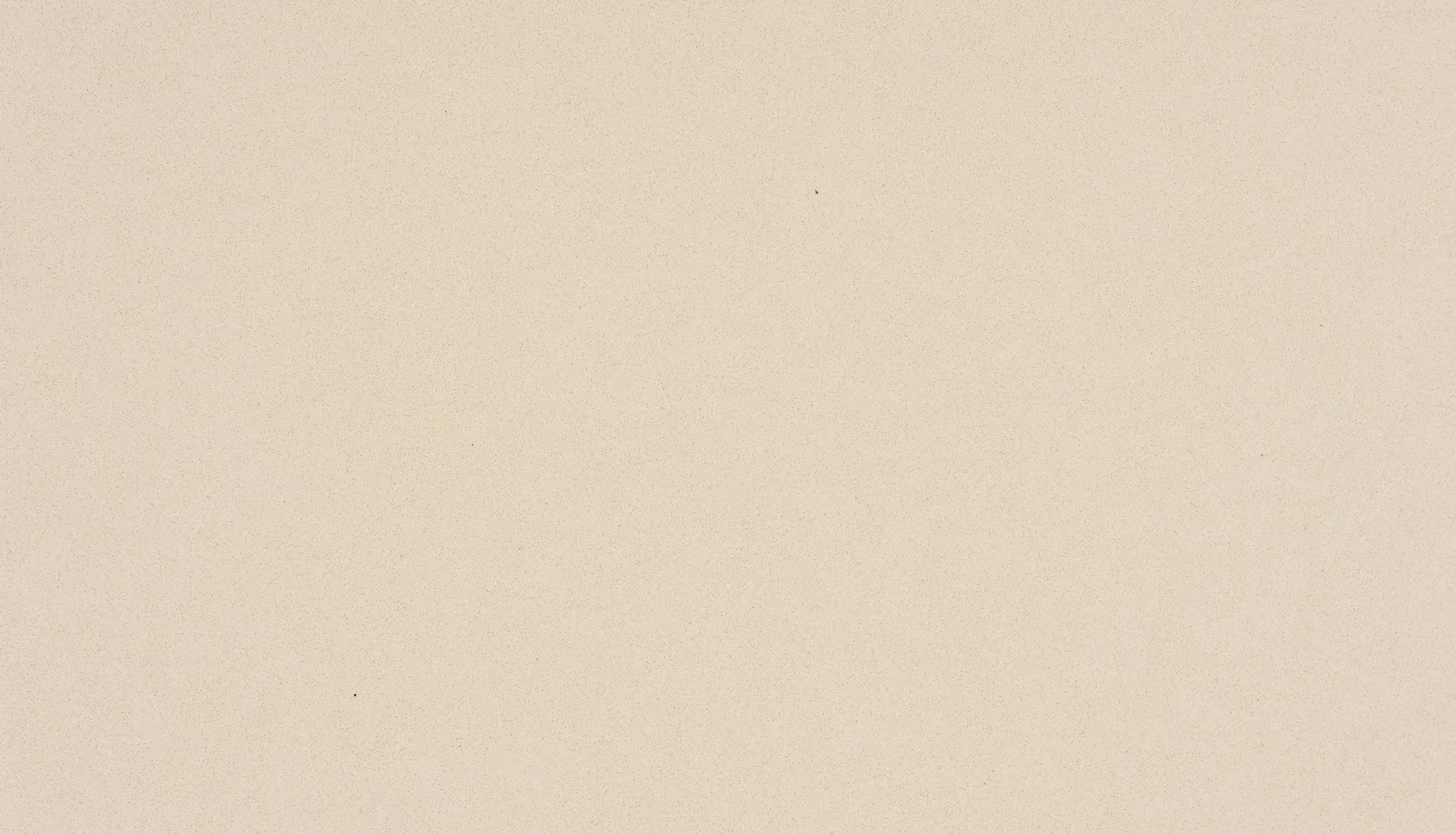ELEMENT BEIGE-Close UP