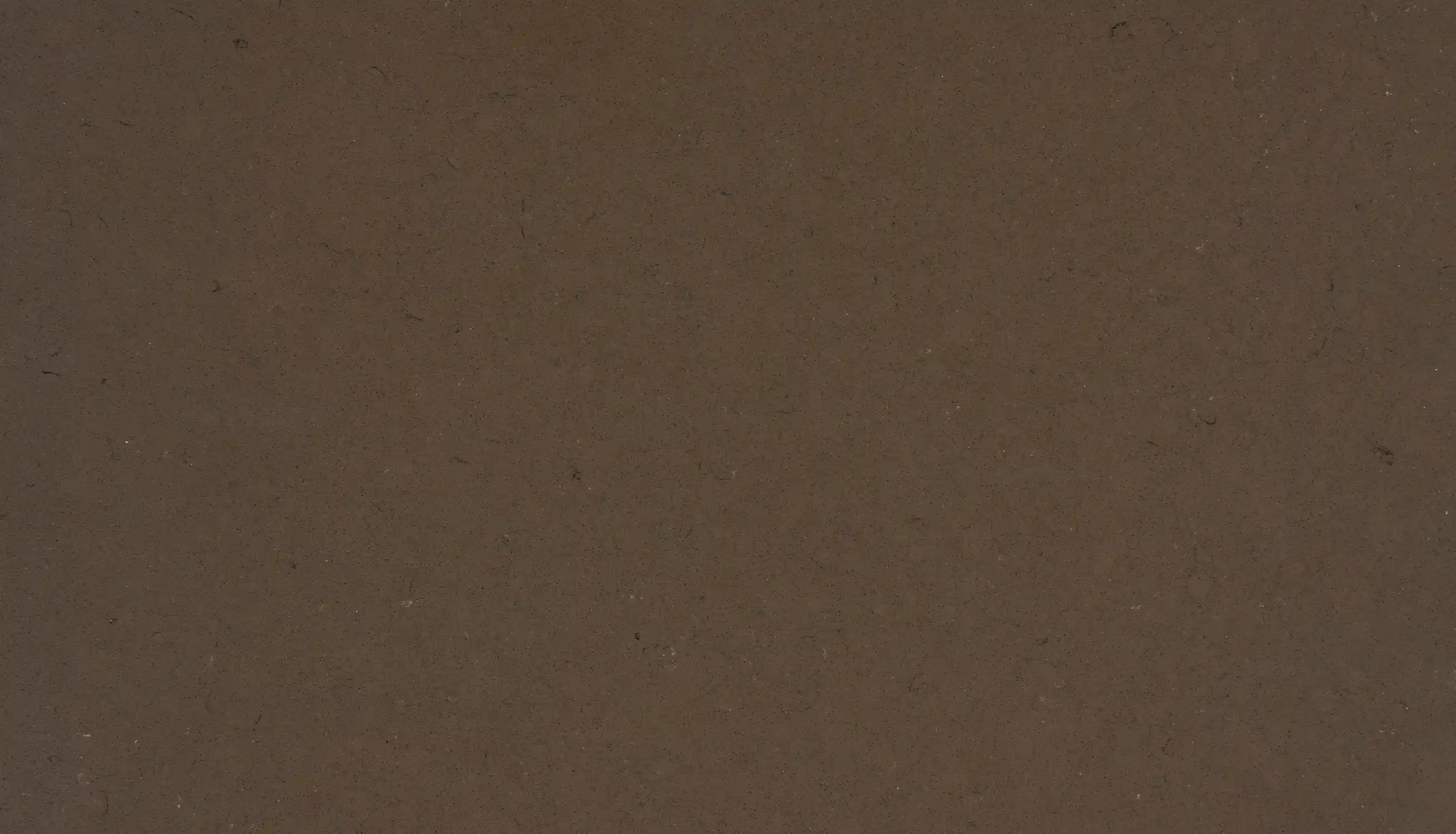 MONTERARY BROWN-Close UP